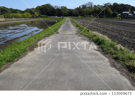 鋪好的農場道路和鄉村景觀 鋪好的農場道路和鄉村景觀 133009675