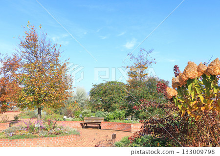 Autumn at Ikedacho Herb Station Flower and Herb Garden 133009798