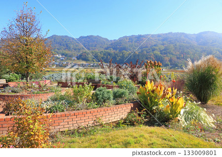 Autumn at Ikedacho Herb Station Flower and Herb Garden 133009801