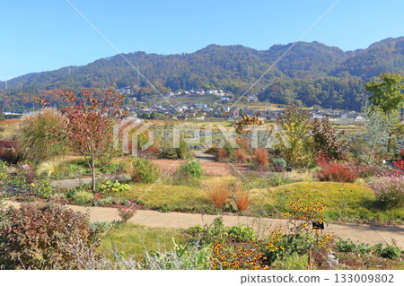 Autumn at Ikedacho Herb Station Flower and Herb Garden 133009802