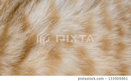 Background of red wool with patterns 133009861