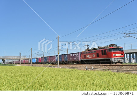 EF510「紅雷」19號機車正在印度鐵路石川線上運行 133009971