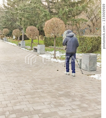 Nordic walking in urban park winter wellness vertical image Nordic walking in urban park winter wellness vertical image 133009989