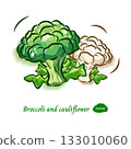Broccoli and cauliflower illustration material | Fresh and cute vegetable pop art 133010060