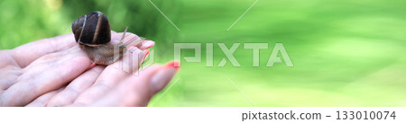 Grape snail on a woman's palm on a green background. High quality photo 133010074