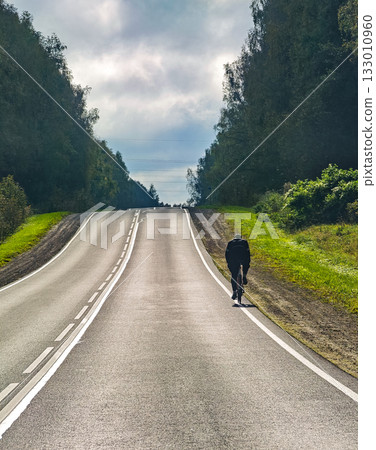 Solo cyclist on empty country road through forest active travel vertical frame Solo cyclist on empty country road through forest active travel vertical frame 133010960