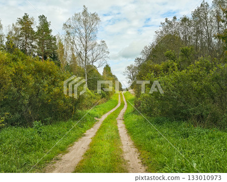 Country dirt track through greenery forest lane perspective to horizon horizontal frame 133010973