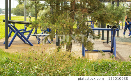 Outdoor gym in a pine park, street workout equipment in urban green space Outdoor gym in a pine park, street workout equipment in urban green space 133010988
