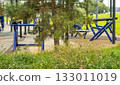 Outdoor gym in a pine park, street workout equipment in urban green space 133011019