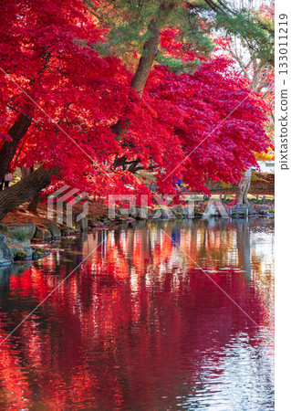 Autumn leaves at Morioka City Central Community Center 133011219