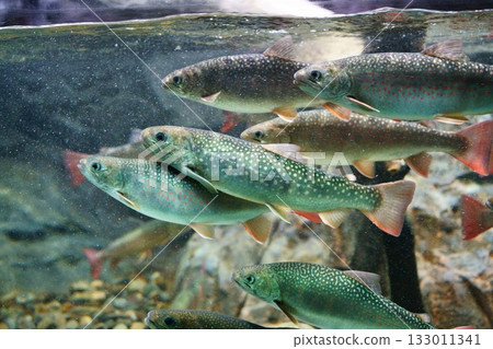 9427 Japanese char 9427 Japanese char 133011341