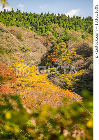 Kumamoto's beautiful autumn foliage spots 133011605
