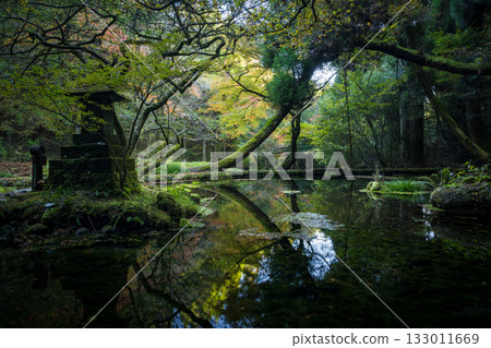 熊本的秋葉勝地，楓葉美麗 133011669