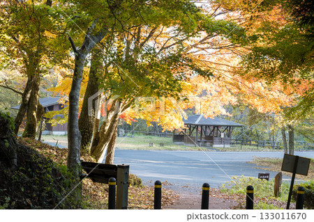 熊本的秋葉勝地,楓葉美麗 熊本的秋葉勝地,楓葉美麗 133011670