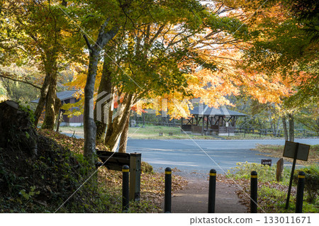 Kumamoto's beautiful autumn foliage spots 133011671