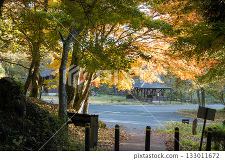 Kumamoto's beautiful autumn foliage spots Kumamoto's beautiful autumn foliage spots 133011672