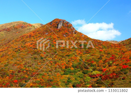Autumn at Mount Hosho (Kuju Mountains, Kokonoe Town, Oita Prefecture) Autumn at Mount Hosho (Kuju Mountains, Kokonoe Town, Oita Prefecture) 133011802