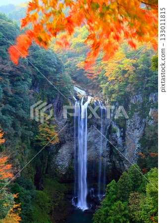 Fukino Falls in autumn (Usa City, Oita Prefecture) Fukino Falls in autumn (Usa City, Oita Prefecture) 133011815