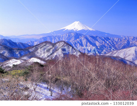 從山梨縣甲州市的濱場丸號遊輪上眺望先鋒山脈和富士山 133012039
