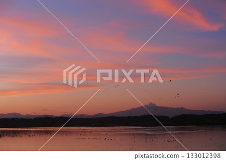 Evening view: red clouds 133012398