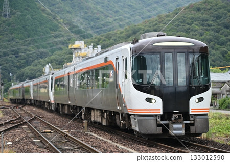 HC85 series Hida express train entering Sakahogi Station HC85 series Hida express train entering Sakahogi Station 133012590
