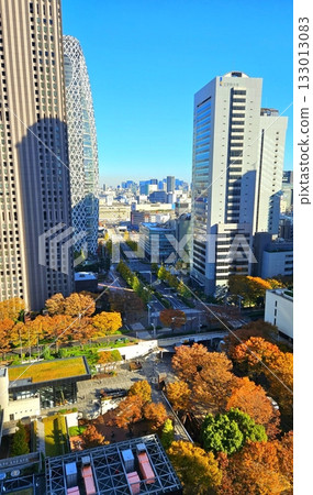 autumn, leaf, fall 133013083