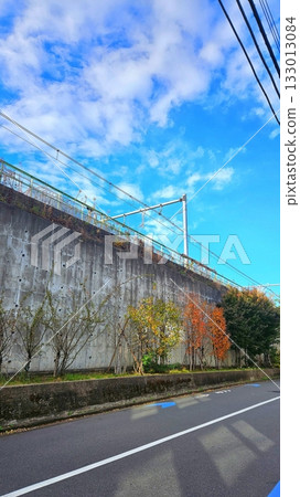 autumn, leaf, fall 133013084