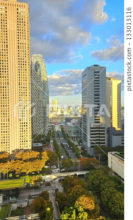 autumn, leaf, fall 133013116