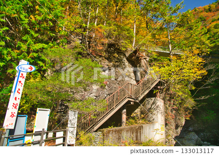 Autumn leaves in Mitarai Valley [Tenkawa Village, Nara Prefecture] 133013117