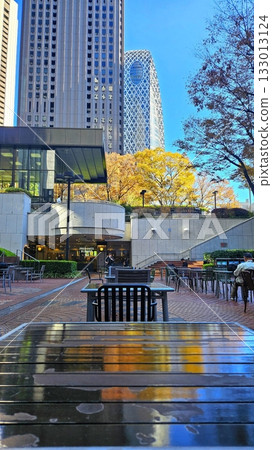 Golden autumn leaves blanket the ground, with vibrant hues of red, orange, and yellow painting the trees. Crisp air and soft sunlight highlight the season’s warmth and cozy charm. 133013124