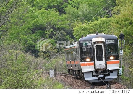 開往多治見方向的兩節車廂的Kiha 75系柴油列車 開往多治見方向的兩節車廂的Kiha 75系柴油列車 133013137