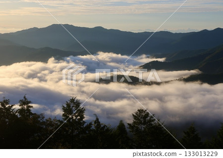 Tengu Plateau, Sea of Clouds, and the Mountains of Shikoku (Tsuno Town, Kochi Prefecture) 133013229