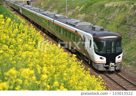 油菜花與飛驒特快HC85系列列車 133013522
