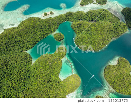 Curved turquoise lagoon channels between green forest islands and shallow reef. Siargao, Philippines. Sugba Blue Lagoon. 133013773