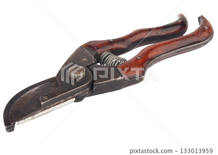 Tree Branch Cutter Isolated on White Background 133013959