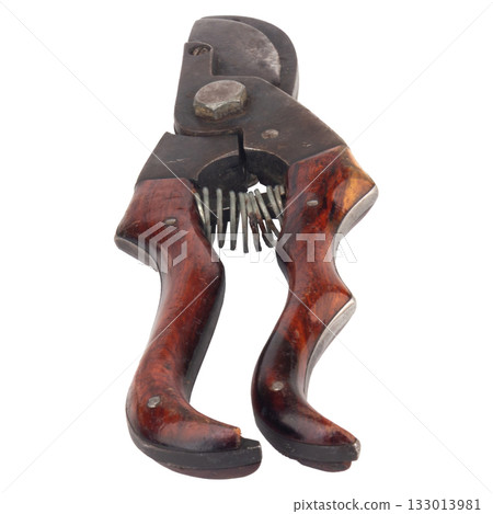 Tree Branch Cutter Isolated on White Background 133013981