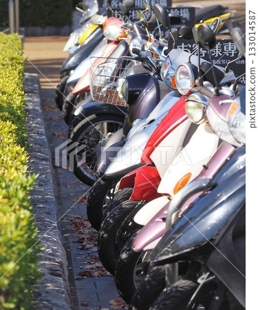 許多電動滑板車停放在商業設施顧客專用的停車場。 133014587