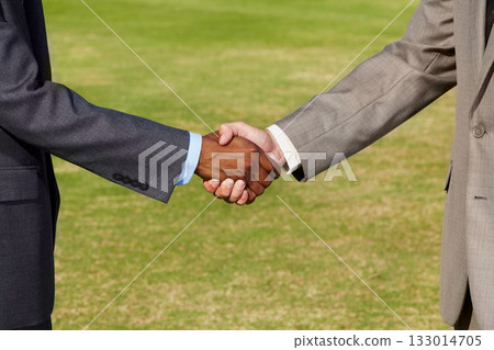 Closeup, shaking hands and business men on grass for b2b agreement, welcome and teamwork. Businessman, hand shake and collaboration for goal, deal or together for meeting, partnership or thank you 133014705