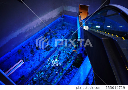 Noboribetsu Marine Park Nix - Scenery of the water escalator Noboribetsu Marine Park Nix - Scenery of the water escalator 133014719