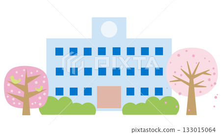 Illustration of a school landscape with cherry blossoms in full bloom 133015064
