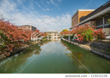 Autumn scenery of Lake Biwa Canal, Kyoto City 133015236
