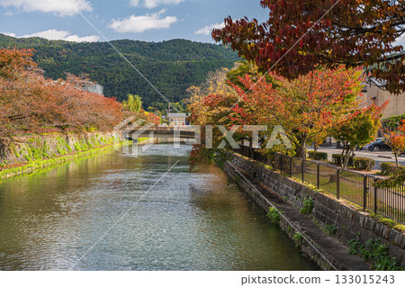 京都琵琶湖運河的秋景 133015243