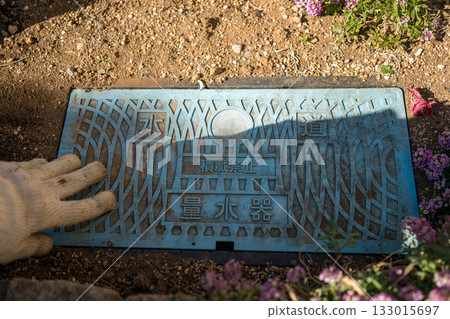 Water meter in the flower bed 133015697