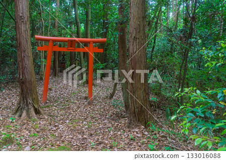山城古道,一條穿越京都府木津川市里山景觀的道路 山城古道,一條穿越京都府木津川市里山景觀的道路 133016088