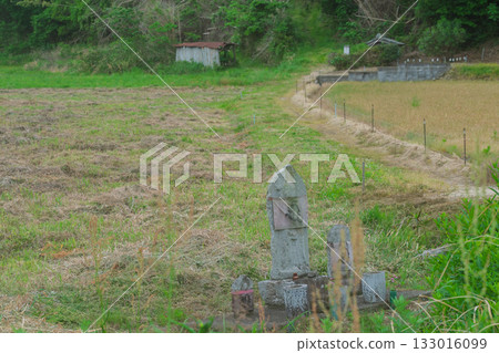 Yamashiro Kodo Trail, a road through the satoyama landscape of Kizugawa City, Kyoto Prefecture Yamashiro Kodo Trail, a road through the satoyama landscape of Kizugawa City, Kyoto Prefecture 133016099