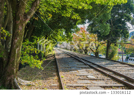 琵琶湖疏水蹴上斜坡道 京都市 琵琶湖疏水蹴上斜坡道 京都市 133016112