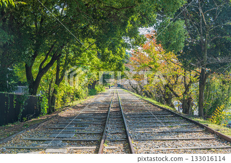 琵琶湖疏水蹴上斜坡道 京都市 133016114