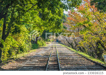Lake Biwa Canal Keage Incline Kyoto City 133016115