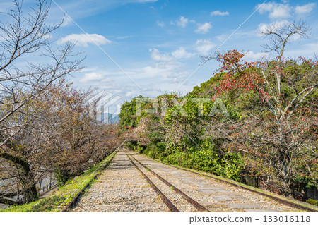 Lake Biwa Canal Keage Incline Kyoto City 133016118