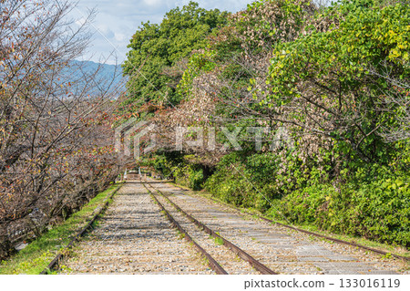 琵琶湖疏水蹴上斜坡道 京都市 133016119